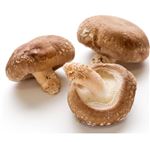 トップバリュ グリーンアイ オーガニック 福島県 などの国内産 生しいたけ菌床 1パック 【12月12日～12月14日のお受取り】