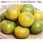三重県などの国内産 早出しみかん（Sサイズ）1袋 【10月10日～10月12日のお受取り】