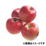 青森県などの国内産 理由ありりんご（早生ふじ）1.2kg 1袋 【10月18日の受取り】