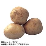 トップバリュ じゃがいも 550g 1袋