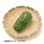 千葉県などの国内産 ピーマン 1個