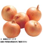北海道などの国内産 たまねぎ大袋 1袋 【8月29日～8月31日のお受取り】