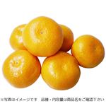 和歌山県などの国内産 早出しこつぶみかん 1袋 【11月7日～11月9日のお受取り】