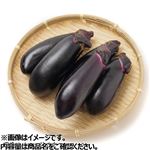 群馬県などの国内産 なす大袋 1袋 【8月29日～8月31日のお受取り】