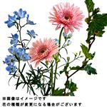 アーリーサマーブーケM 1束【置き楽配送指定不可】※金土日のみ配送