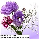 トルコキキョウブーケ 1束【置き楽配送指定不可】【金土日のみ配送可】