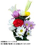 仏花（特大）1束【置き楽配送指定不可】※金土日のみ配送のみ