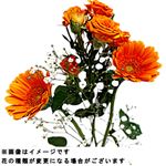 【おすすめ！】季節の洋花おまかせパック 1束【置き楽配送指定不可】 ※金土日のみ配送可