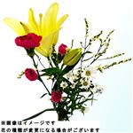 【おすすめ！】季節の和花おまかせパック 1束【置き楽配送指定不可】 ※金土日のみ配送可