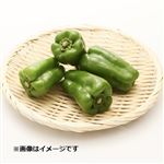 岩手県などの国内産 ピーマン 1袋