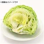 長野県などの国内産 レタス 1／2カット