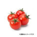 千葉県などの国内産 オスミック フルーツミニトマト mini 120g入 1パック