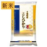 【新米予約】伊丹産業 千葉県産 コシヒカリ（令和7年度産）5kg【9／3～9／5お渡し】