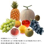 【予約】 旬の果実盛合わせ（10点入）1盛【6日～12日後お渡し】