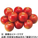 【予約】長野県などの国内産 つがるりんご 4.5kg（16～20玉）【6日～12日後お渡し】
