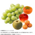 【予約】 旬の果物盛合わせ（5点入）1盛【6日～12日後お渡し】