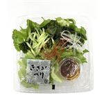 チョレギサラダ 増量 1パック 【8月29日～8月31日の受取り】