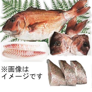 おうちでイオン イオンネットスーパー 予約 6 4 金 5日 土 配送 高知県産他 国内産 朝〆真鯛 養殖 1尾分刺身さく 片身分 鯛切身 片身分 鯛あらセット 1尾分