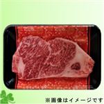 【GWごちそう予約】トップバリュ 匠和牛サーロインステーキ用（北海道産）（100gあたり（本体）980円）180g【5／3～5／6お渡し】