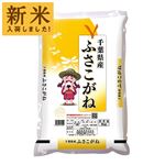 千葉県産 ふさこがね 5kg
