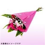 【母の日予約】マザーズブーケ レッドピンク系 1束【5／8～5／11お渡し】【置き楽配送指定不可】