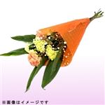 【母の日予約】マザーズブーケ イエロー系 1束【5／8～5／11お渡し】【置き楽配送指定不可】