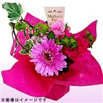 【母の日予約】スタンディングブーケ レッドピンク系 ロマーヌ 1束【5／8～5／11お渡し】【置き楽配送指定不可】