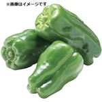 茨城県などの国内産 ピーマン 1袋   【4／18～4／20お渡し】