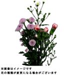 お供えセット 小そよかぜ1束【置き楽配送指定不可】