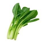 福岡県 などの国内産 こまつな（小束）1袋