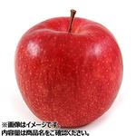 長野県などの国内産 サンふじりんご 1個 【11月20日～11月24日のお受取り】