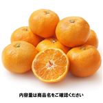 和歌山県などの国内産 みかん大袋 1.5kg 1袋 【11月20日～11月24日のお受取り】