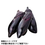 群馬県などの国内産 なす 5本入 1袋 【6月6日～6月8日の受取り】