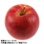 青森県などの国内産 りんご（サンつがる）1個 【9月19日～9月21日の受取り】