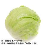 茨城県 などの国内産 レタス 1個