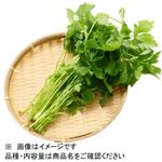 大阪府 などの国内産 水耕みつば 1袋 【9月15日～9月16日のお受取り】