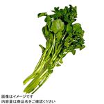 広島県 などの国内産 クレソン 1パック 【12月8日～12月9日のお受取り】