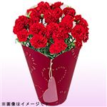 【母の日予約】カーネーション レッドピンク系 12cm鉢【5／8～5／11お渡し】【置き楽配送指定不可】