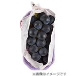 山梨県などの国内産 ぶどう（藤稔）1房