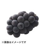 岡山県などの国内産 ぶどう（オーロラブラック）1房
