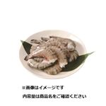 インド産 ブラックタイガーえび 大（養殖・解凍）16尾   【7／25～7／27お渡し】