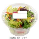 トップバリュ パルメザンチーズ付！シーザーサラダ 1パック