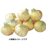 トップバリュ減の恵み 佐賀県などの国内産 新たまねぎ 3～4玉入 1袋