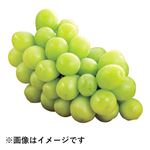 山梨県または長野県などの国内産 ぶどう（シャインマスカット）200g入 1パック