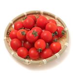 熊本県 などの国内産 ミニトマト（大）1パック