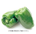 トップバリュ グリーンアイ オーガニック 宮崎県 などの国内産 ピーマン 1袋