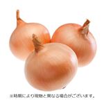 兵庫県などの国内産 トップバリュ 減の恵み たまねぎ 1袋 【6月6日～6月8日のお受取り】