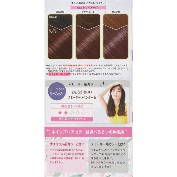 おうちでイオン イオンネットスーパー ホーユー Blホイップヘアカラー マニッシュラベンダー