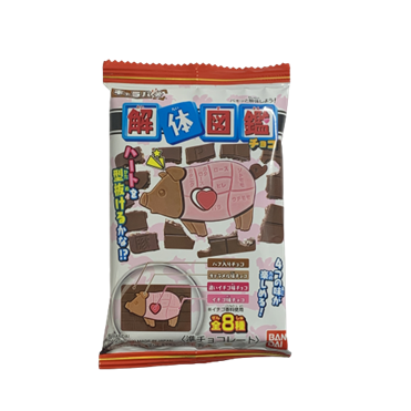 おうちでイオン イオンネットスーパー バンダイ キャラパキ 解体図鑑 準チョコレート1個 おうちでイオン イオンネットスーパー バンダイ キャラパキ 解体図鑑 準チョコレート1個