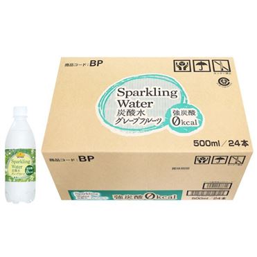 おうちでイオン イオンネットスーパー ケース販売 トップバリュベストプライス炭酸水gf 500mlx24本